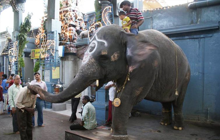 Manakula vinaynagar temple pondicheri