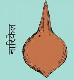 Coconut