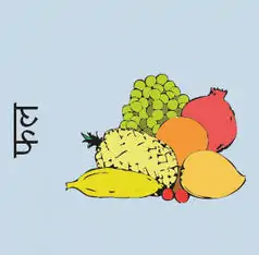 Fruit