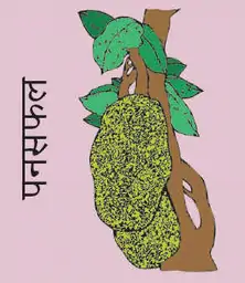 Jackfruit