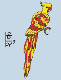 Parrot