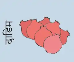 Pomegranate