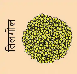 Sesameball
