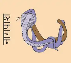 Snake Cord