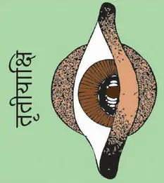 Third eye
