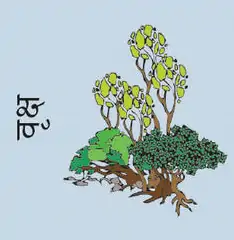 Trees