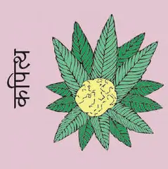 Wood apple